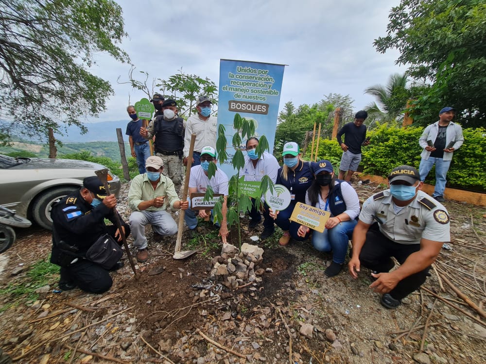 Chiquimula acepta reto de reforestación y suma más de 4 mil árboles plantados