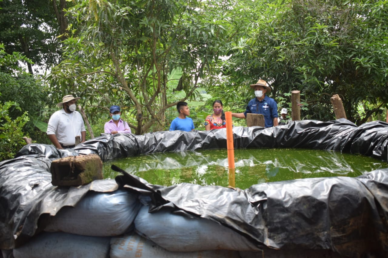 Extensionistas rurales promueven producción de tilapia en Suchitepéquez