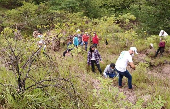 Santa Rosa recibe donación de 12 mil árboles