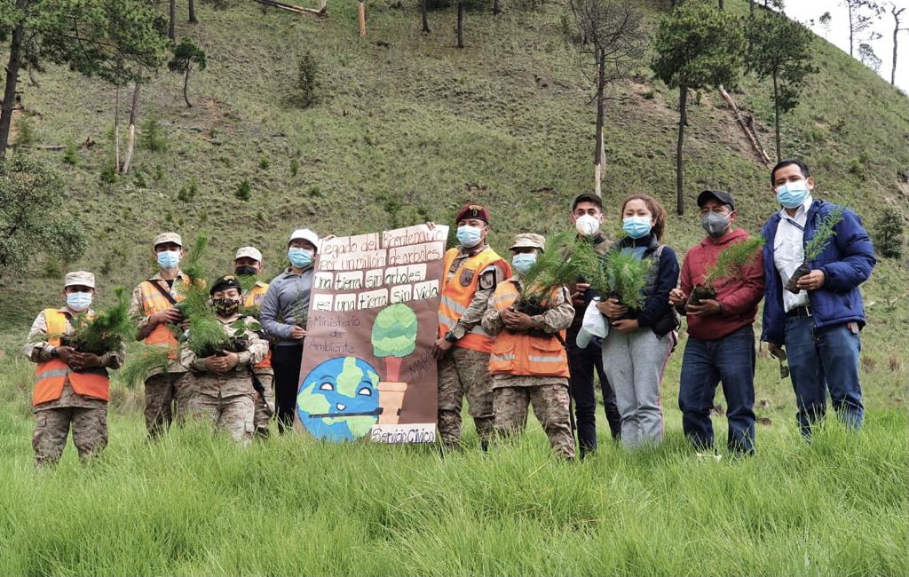 Reforestan Totonicapán para conmemorar el bicentenario