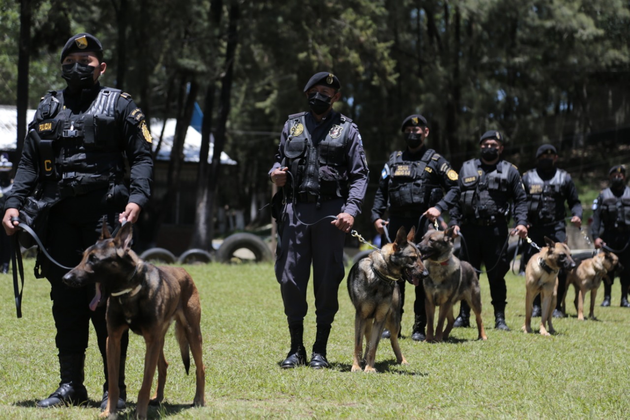Gobernación inaugura primer curso K-9 avanzado para instructores