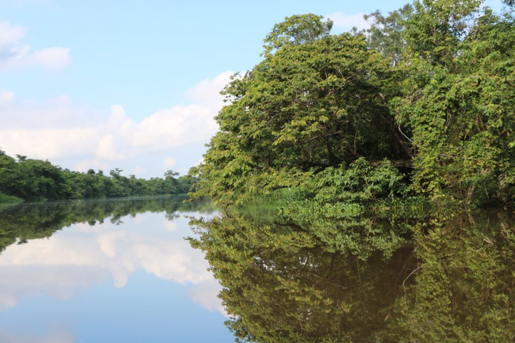 Firman convenio para promover conservación de diversidad biológica