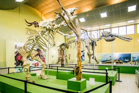 Conmemoran 47 años de historia paleontológica en el Museo de Estanzuela