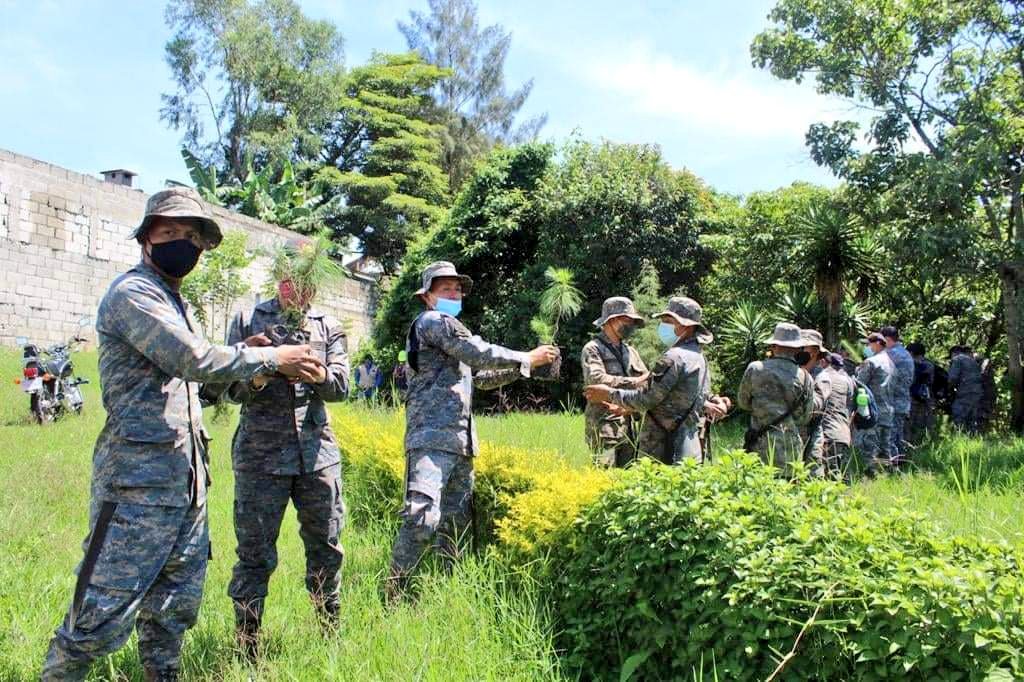 Ejército contribuye a sembrar un millón de árboles en 2021
