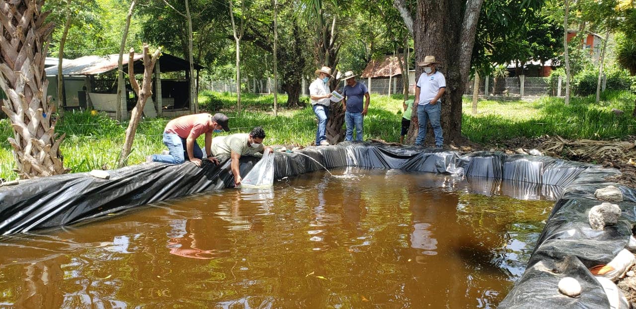 Extensionismo rural mejora desempeño productivo en Chiquimula