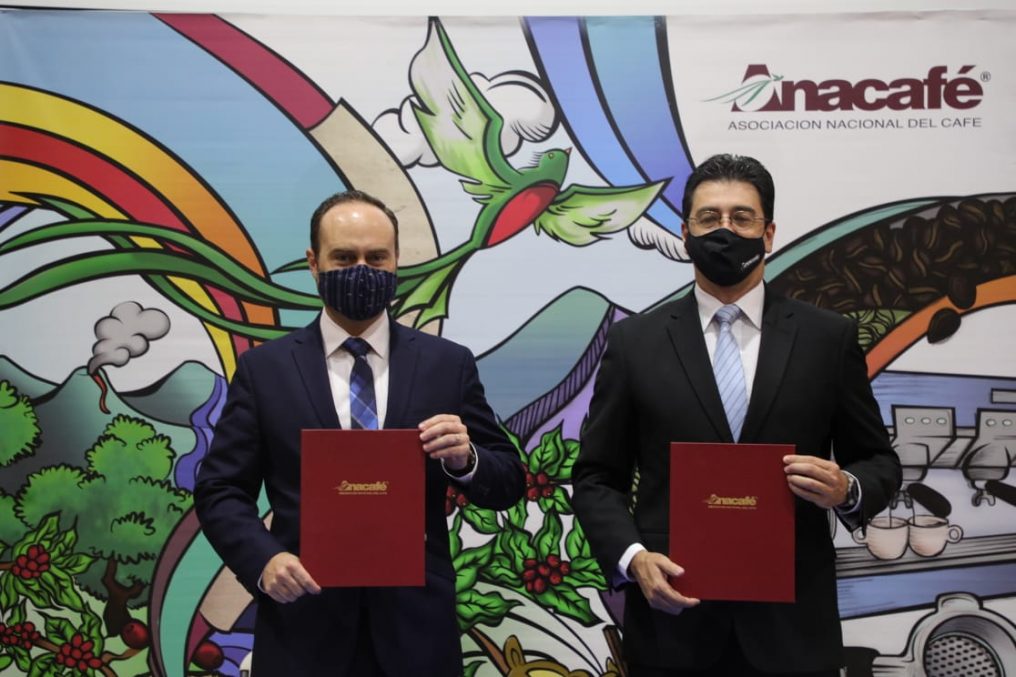 Minex reafirma compromiso de promover café guatemalteco en el extranjero