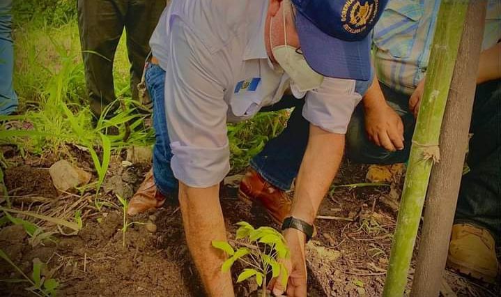 Jornada de reforestación en Retalhuleu