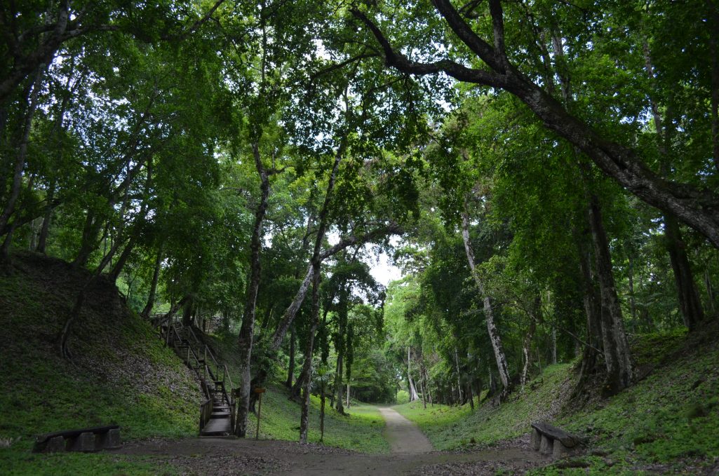Establecen acciones para la protección de la biodiversidad en Petén