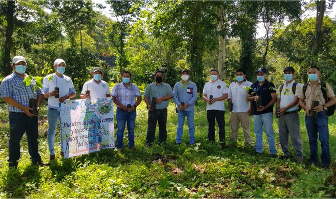 Siembran 16 mil 700 árboles en 4 departamentos durante la semana