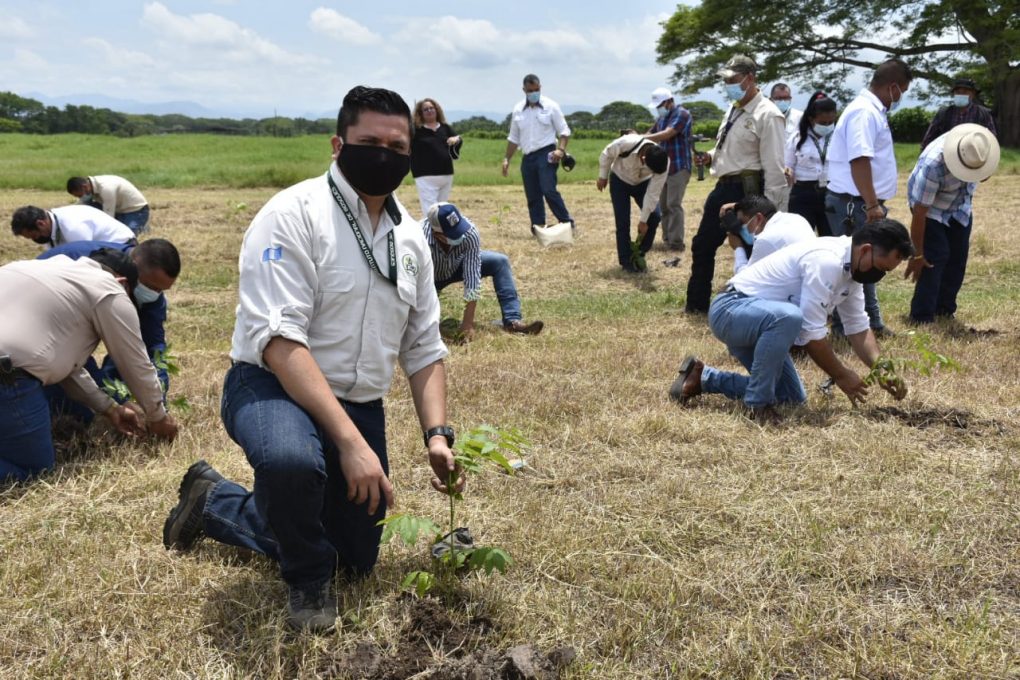 Lanzan primera fase de proyecto para reforestar 3 mil hectáreas de la costa sur