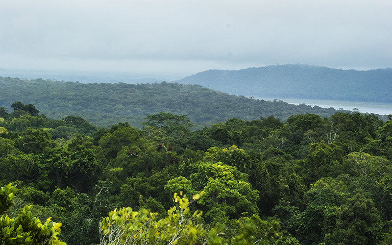 Finaliza Proyecto Protección de Recursos Naturales Selva Maya