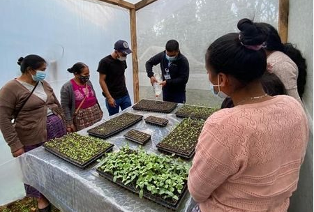 Huehuetenango: MAGA y Cunoroc capacitan a mujeres en la implementación de piloneras