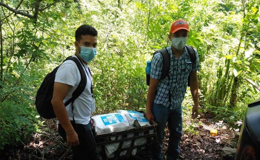 Agricultores zacapanecos se benefician con semillas de maíz biofortificadas