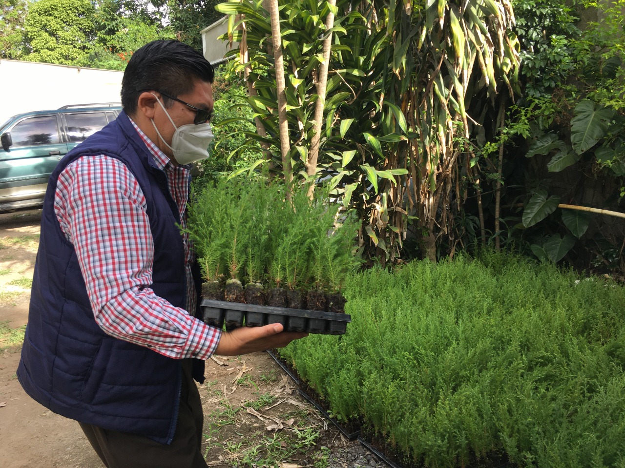 Gobernación de Sacatepéquez dirige iniciativa de reforestación