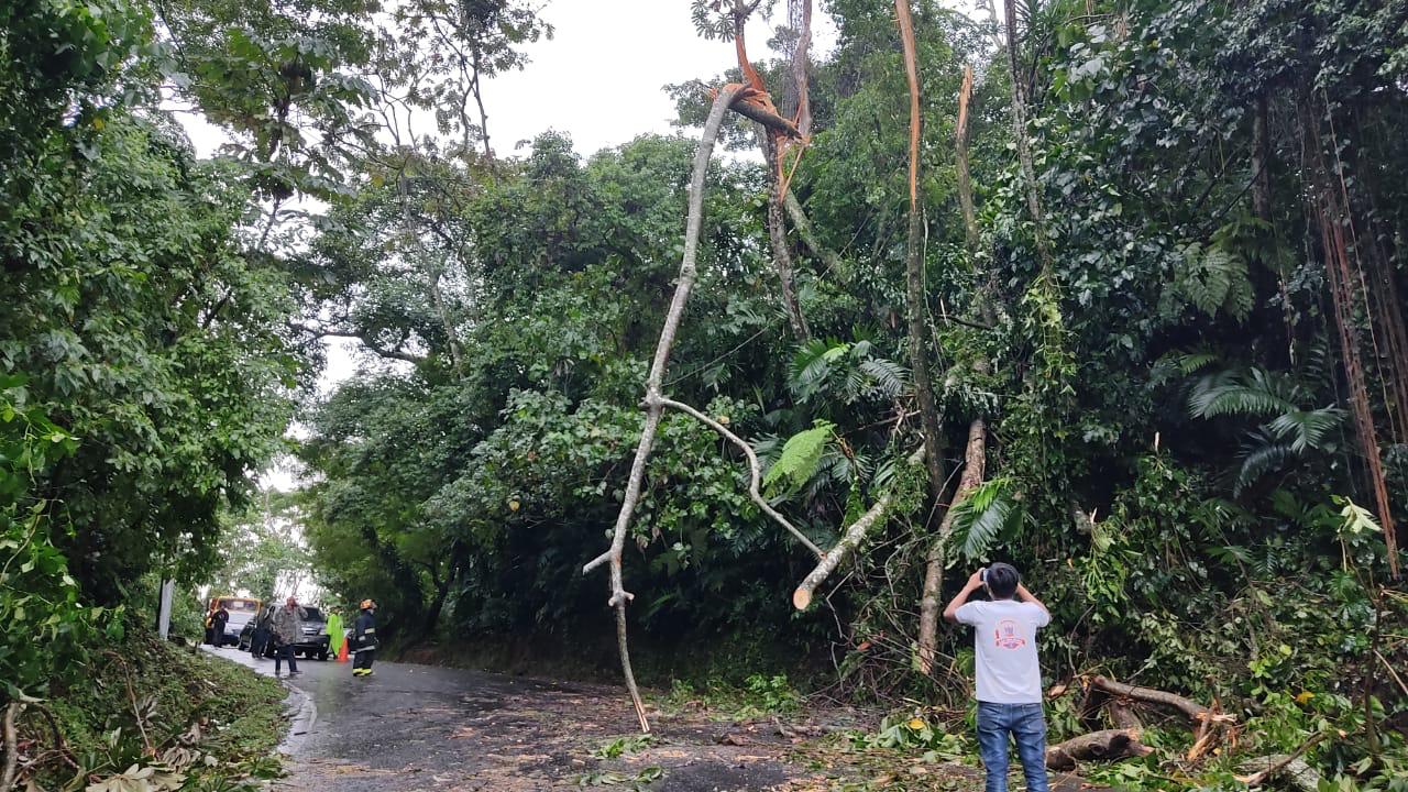 Sistema Conred asiste a 115 personas afectadas por lluvias en el interior