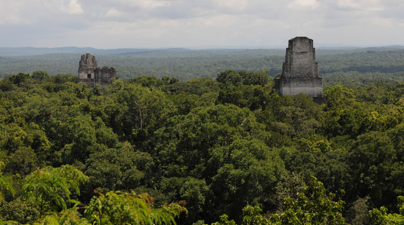 La selva maya gana casi 11 mil hectáreas con un proyecto multinacional