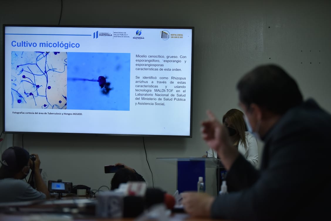 Informan acerca de caso de hongo negro
