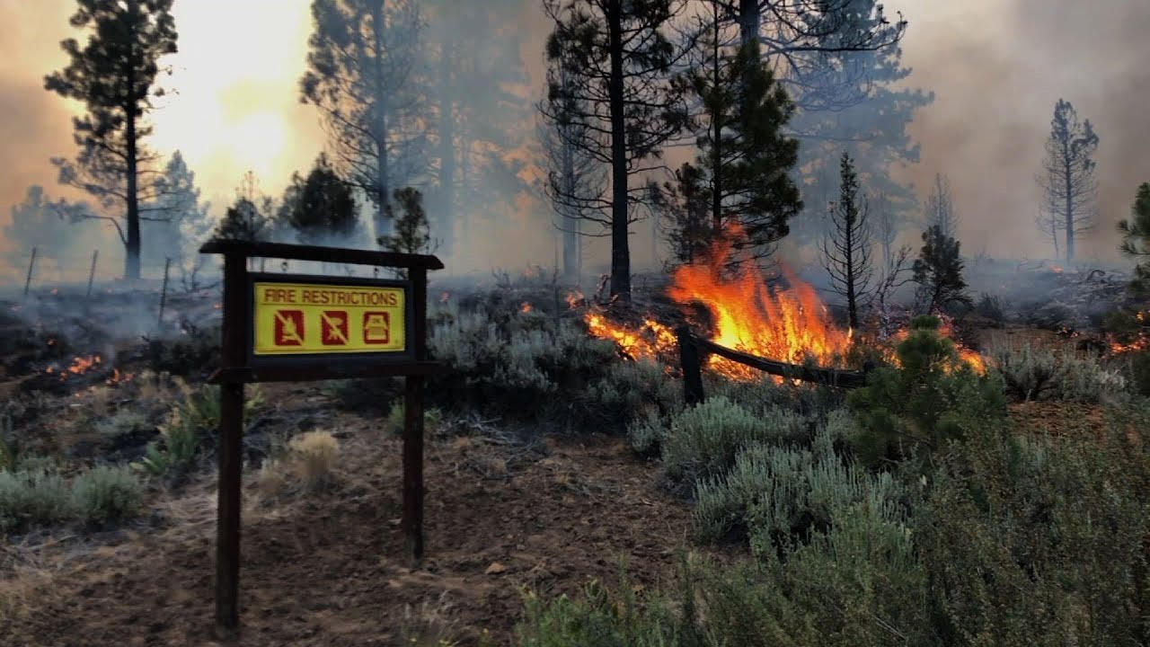 Temporada de incendios se adelanta varios meses en el oeste de EE. UU.