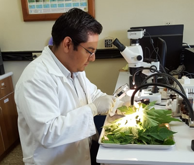 laboratorio de Diagnóstico Fitosanitario con sede en Petén