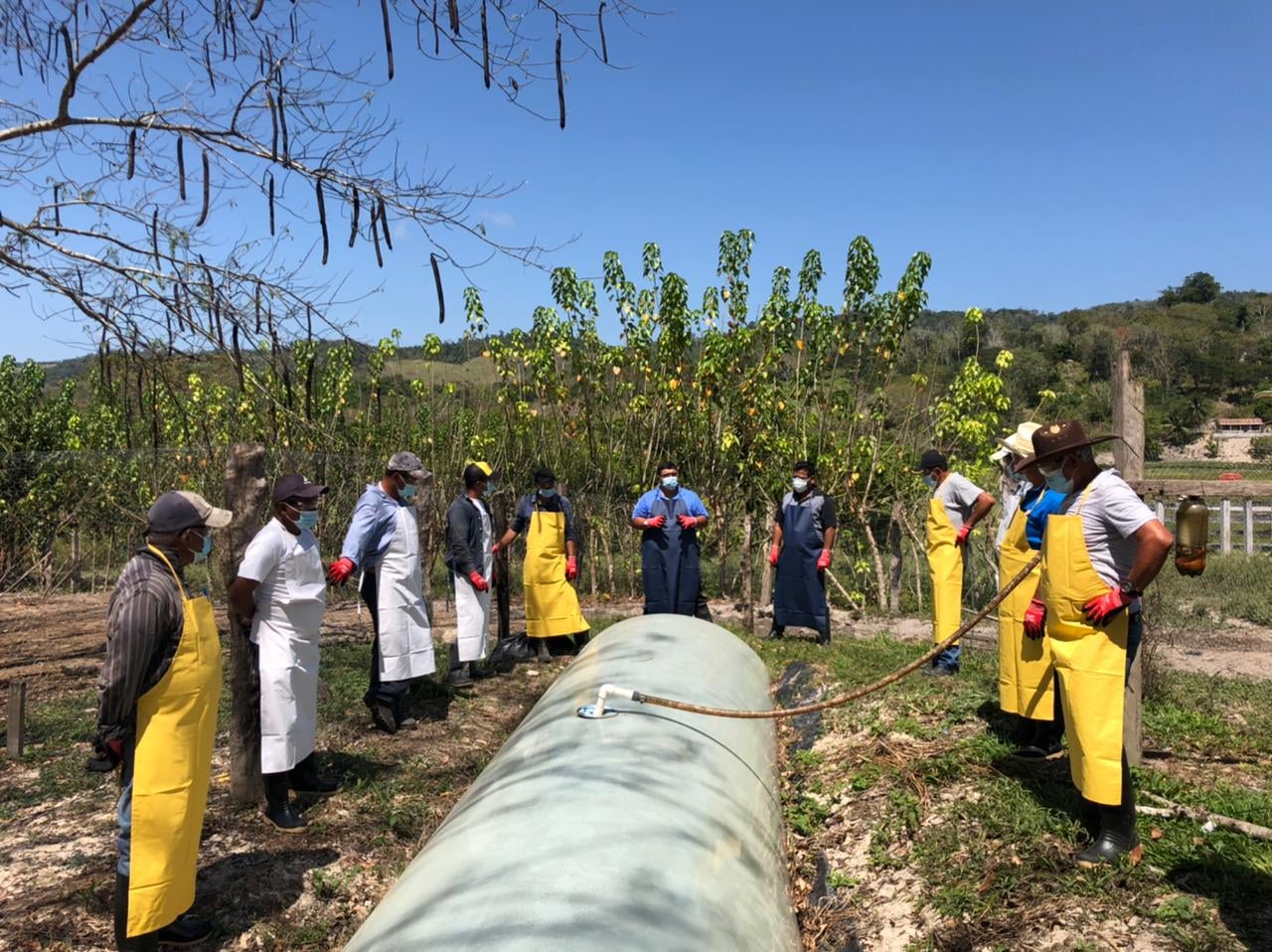 Al menos 35 mil familias de la cuenca del lago Petén, Itzá, fueron beneficiadas con el programa de manejo forestal