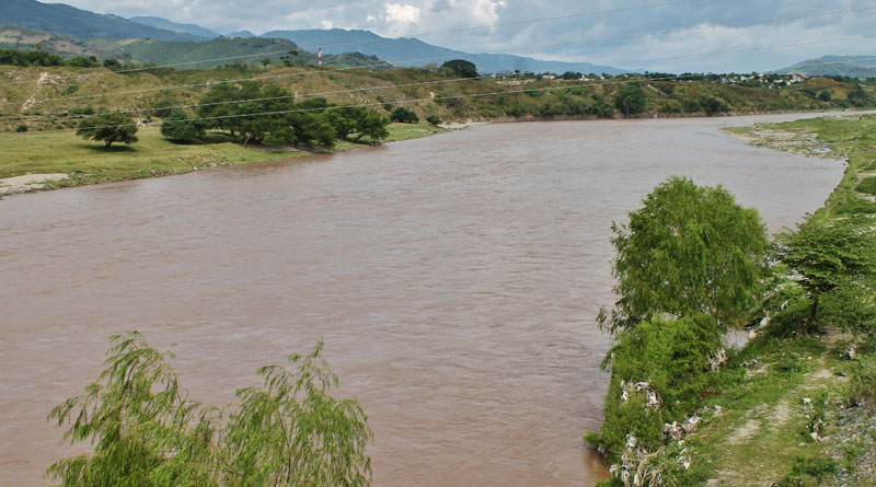 Impulsan proyecto de reforestación para proteger el río Motagua