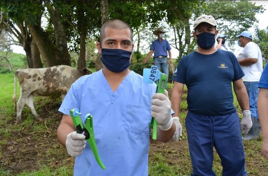 MAGA efectúa registro de productores bovinos en Jutiapa y Santa Rosa