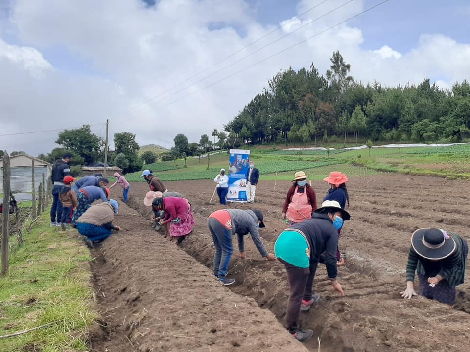 Huerto comunal fortalecerá la seguridad alimentaria en Chiantla, Huehuetenango
