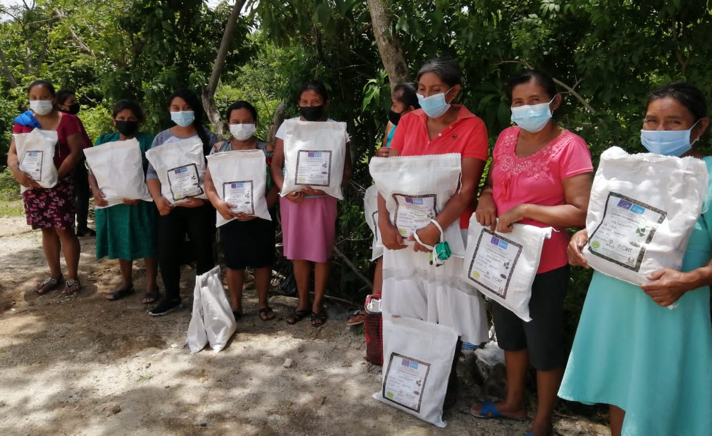 Más de 600 familias chiquimultecas reciben semilla de frijol biofortificada