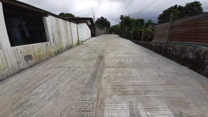 Pavimentación de camino beneficia a vecinos de Nuevo San Carlos