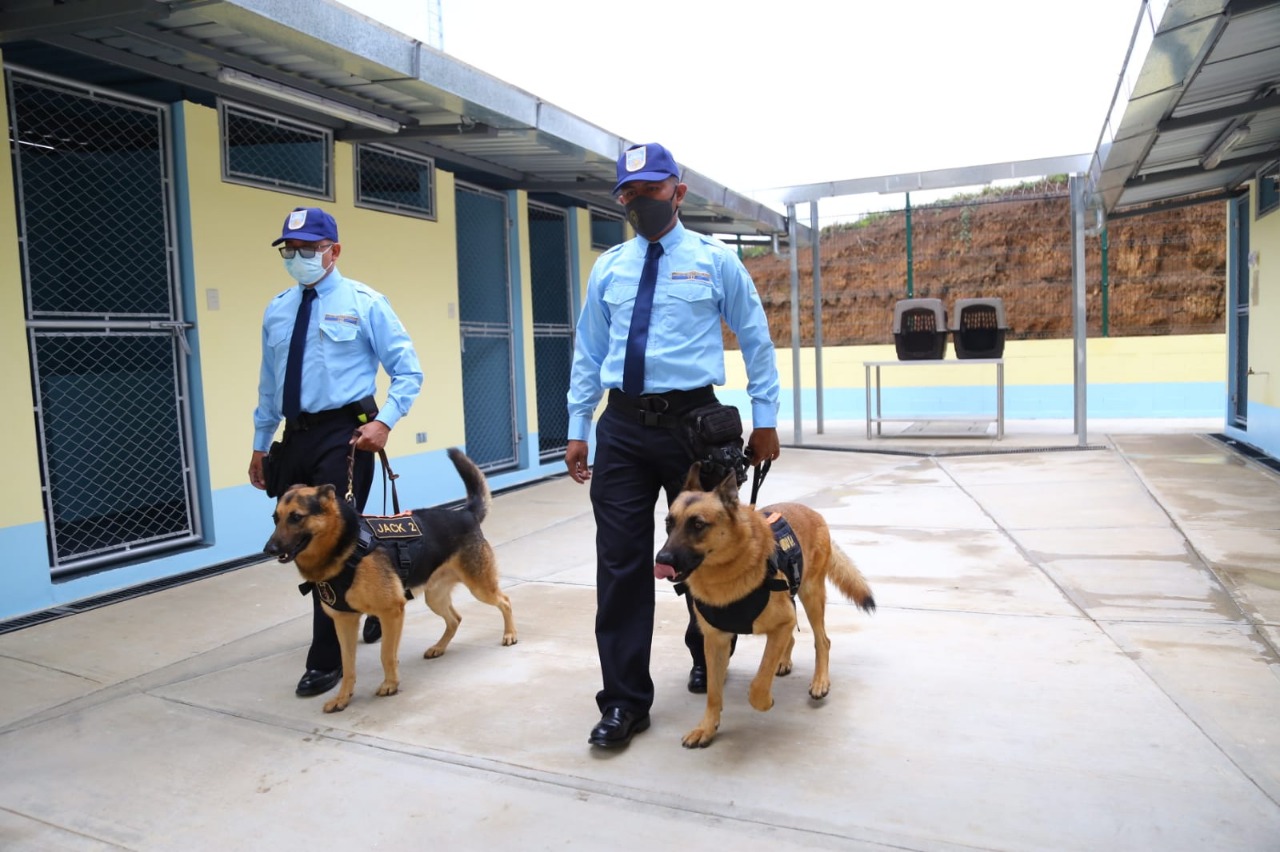 Unidad K-9 fortalecerá apoyo en requisas y operativos de seguridad en centros carcelarios