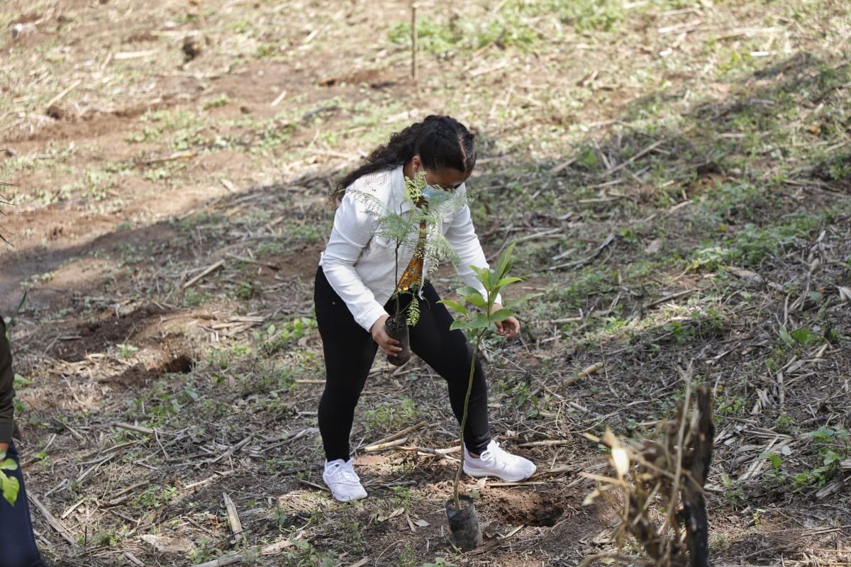 Suchitepéquez tiene más de 500 nuevos guardianes ecológicos
