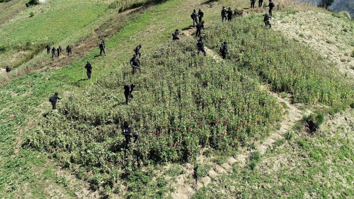 Más de 2 mil 370 millones de quetzales en drogas, bienes y dinero incautados al narcotráfico