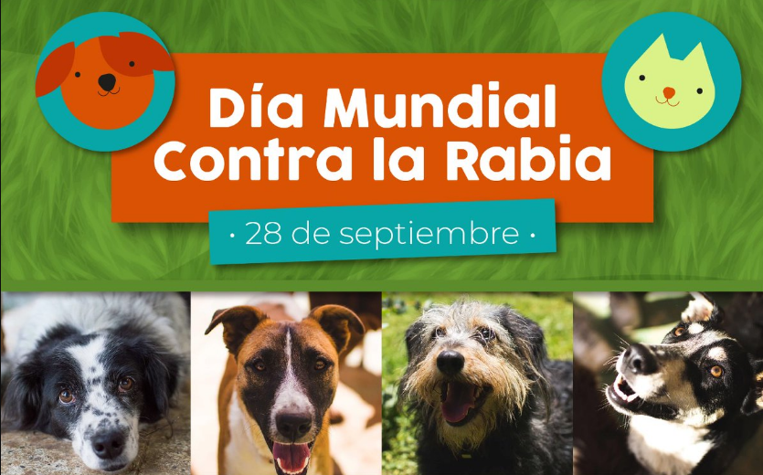 Buscan vacunar contra la rabia a más de 3 millones de perros