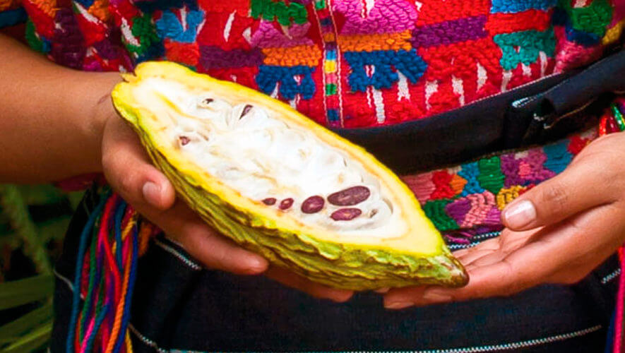 Promoverán competitividad de cadena de valor del cacao diferenciado
