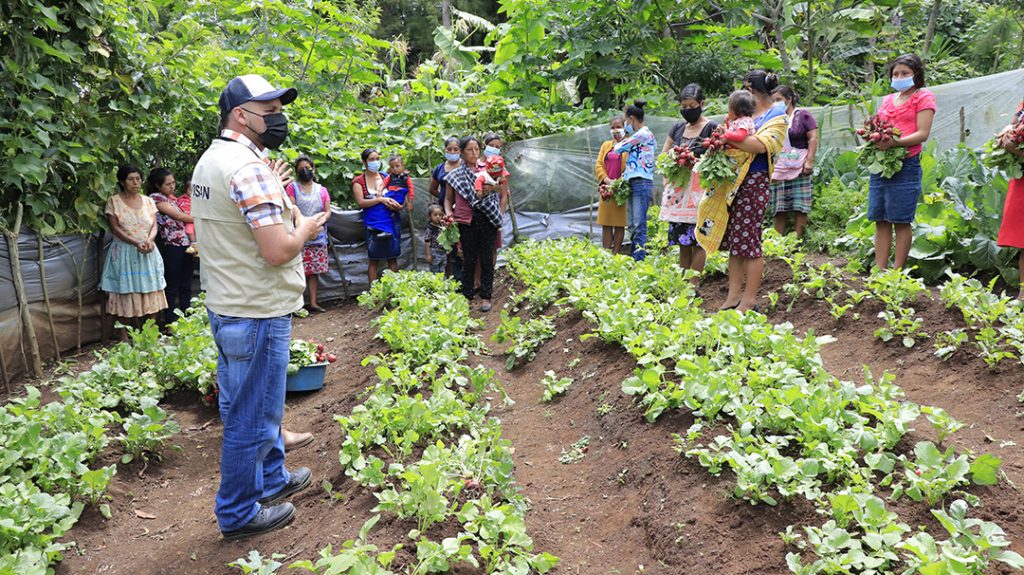 El programa de alimentos por acciones apoya a familias del área rural.