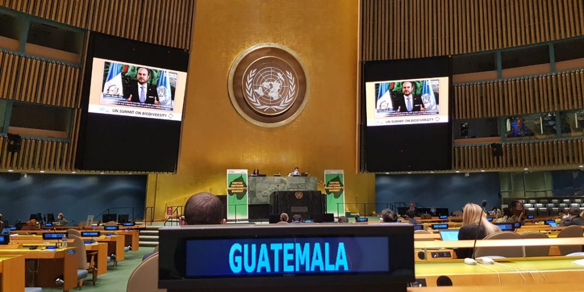 Presidente Giammattei participará en 76º periodo de sesiones de la ONU