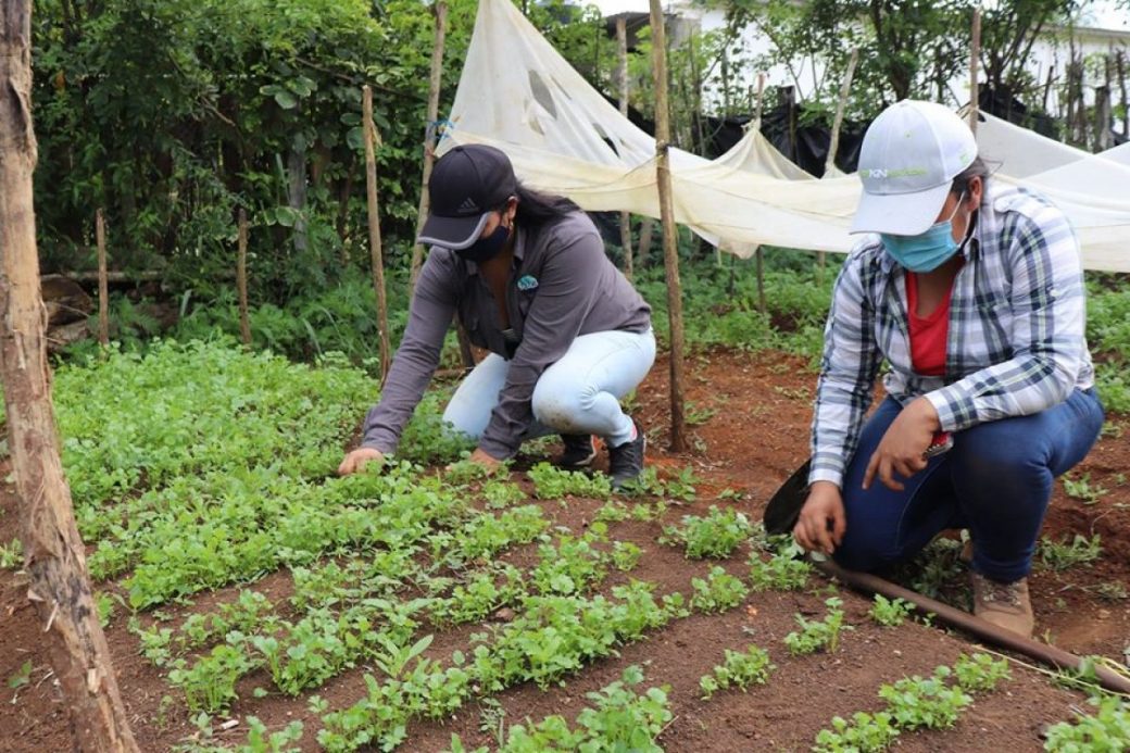 Fonagro otorga fondos para efectuar siete proyectos agropecuarios