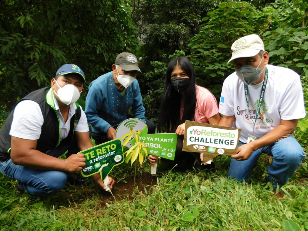 Sembrando Huella concluye y registra 412 mil 227 árboles plantados