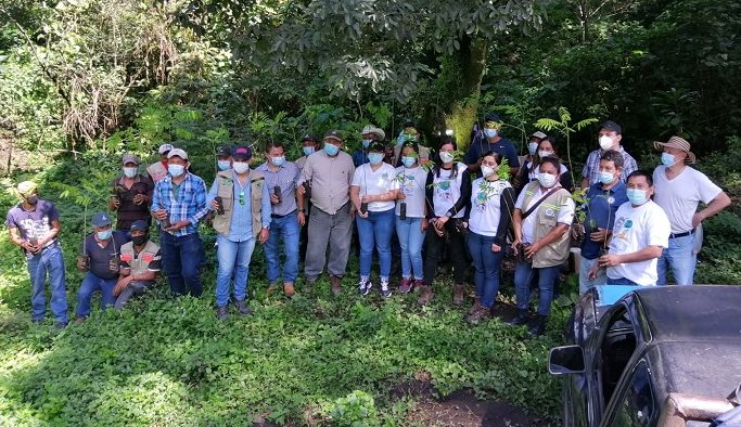 Campaña Reforestemos Guatemala sigue repoblando áreas boscosas