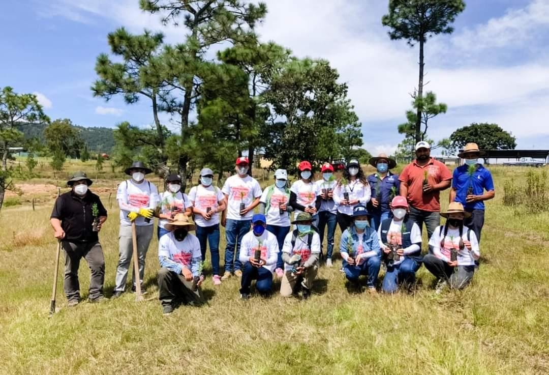 Jóvenes celebran independencia de Huehuetenango con jornada de reforestación