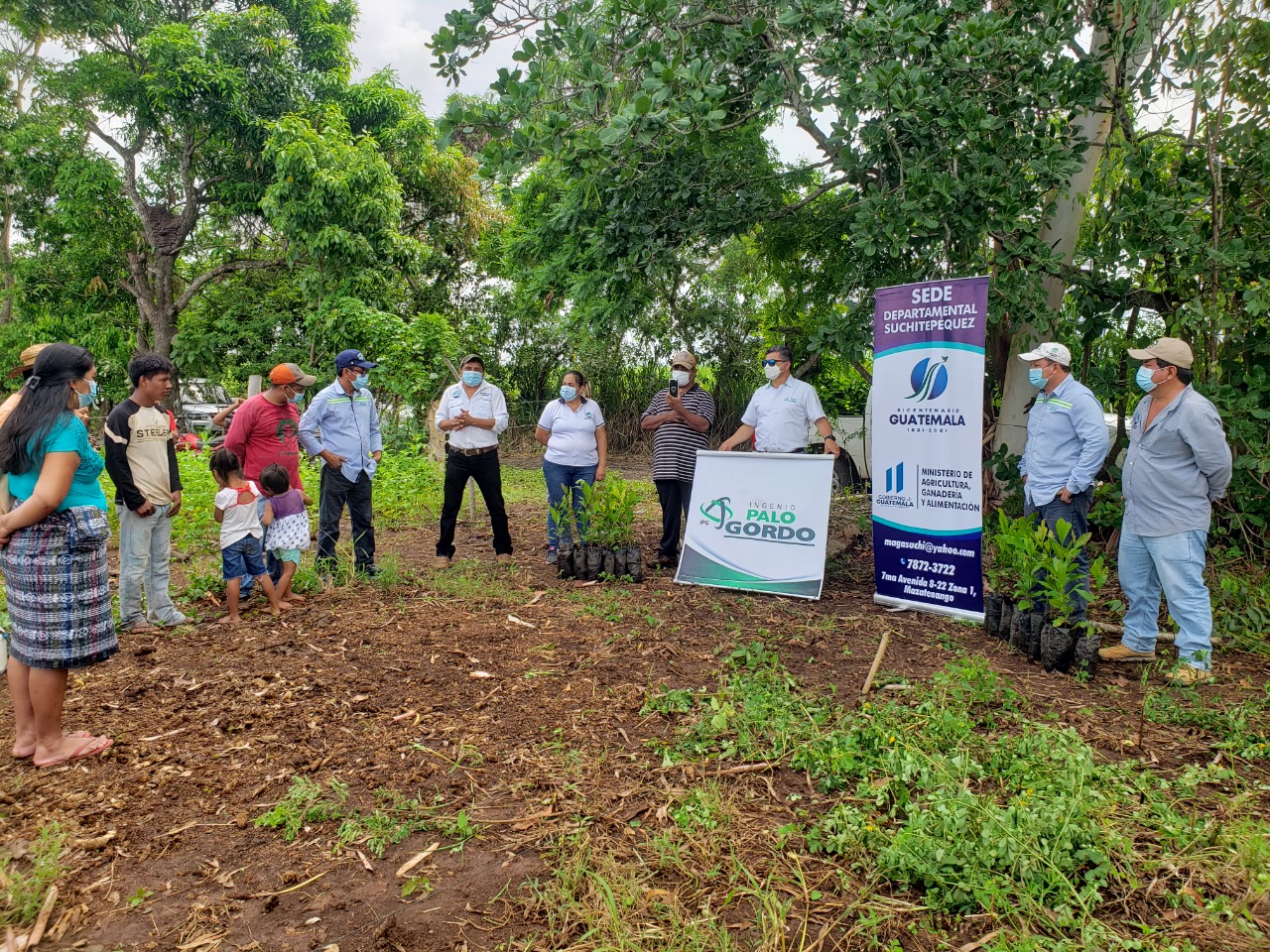 MAGA e Ingenio Palo Gordo entregan 800 plantas de jocote en Suchitepéquez