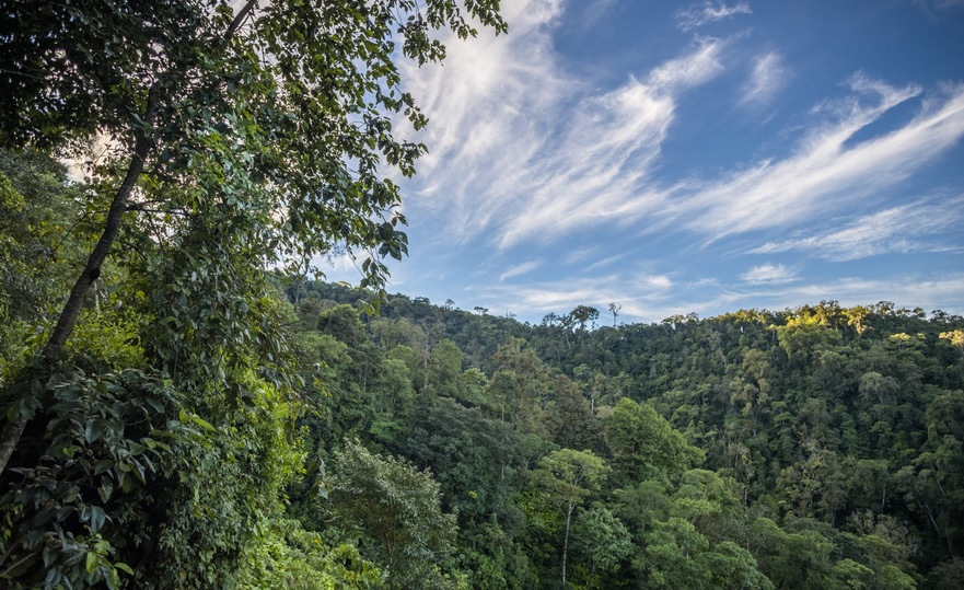 Guatemala se suma a conmemoración del Día Internacional contra el Cambio Climático