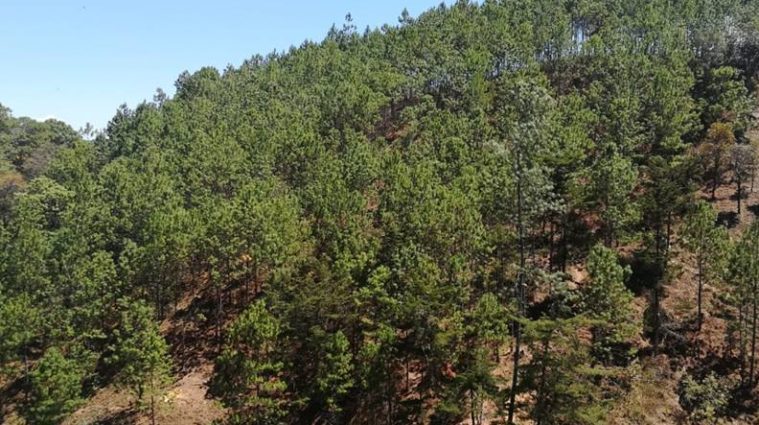 Comisión multipartita contribuirá a proteger los recursos naturales de San Mateo Ixtatán