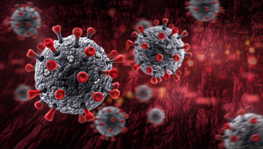 Científicos descubren método para bloquear infección del coronavirus