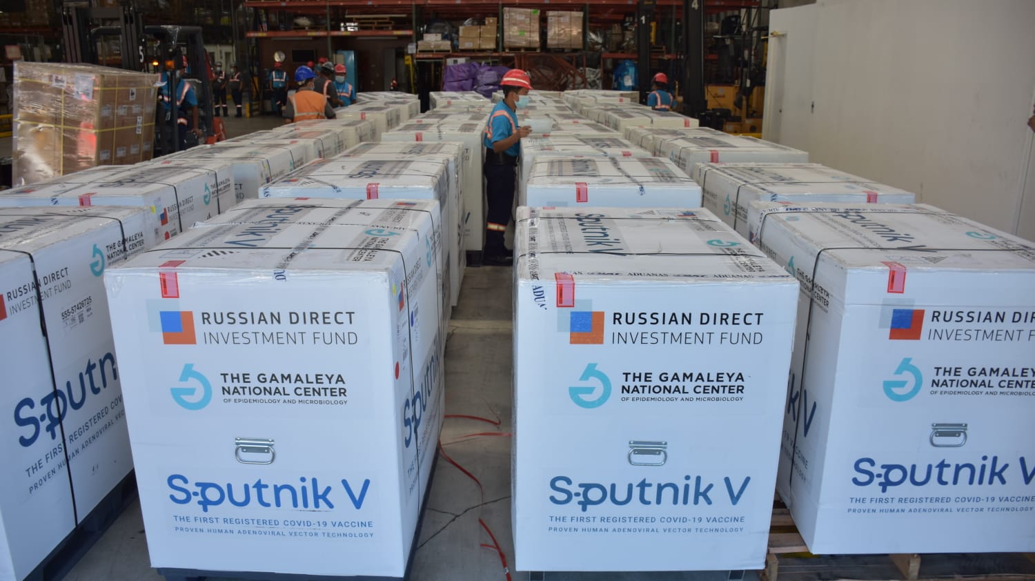 Ingresa nuevo lote de primera y segunda dosis de vacuna rusa Sputnik V