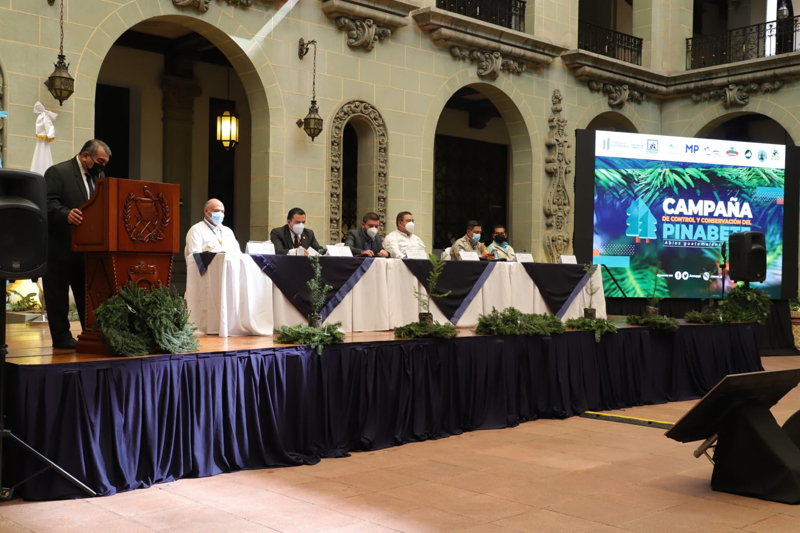 Lanzan Campaña de Control y Conservación del Pinabete en la Temporada Navideña 2021