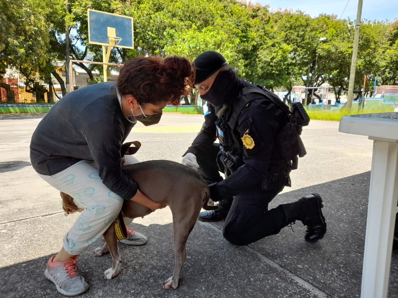 PNC apoya en jornada de vacunación contra la rabia en la zona 6