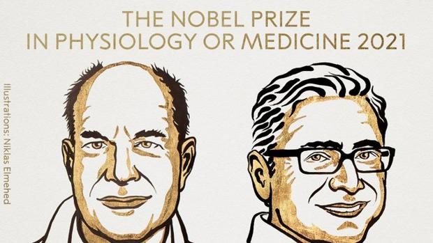 Nobel de Medicina para Julius y Patapoutian