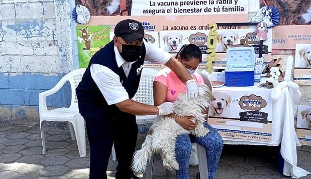 Arranca jornada de vacunación antirrábica en Jalapa