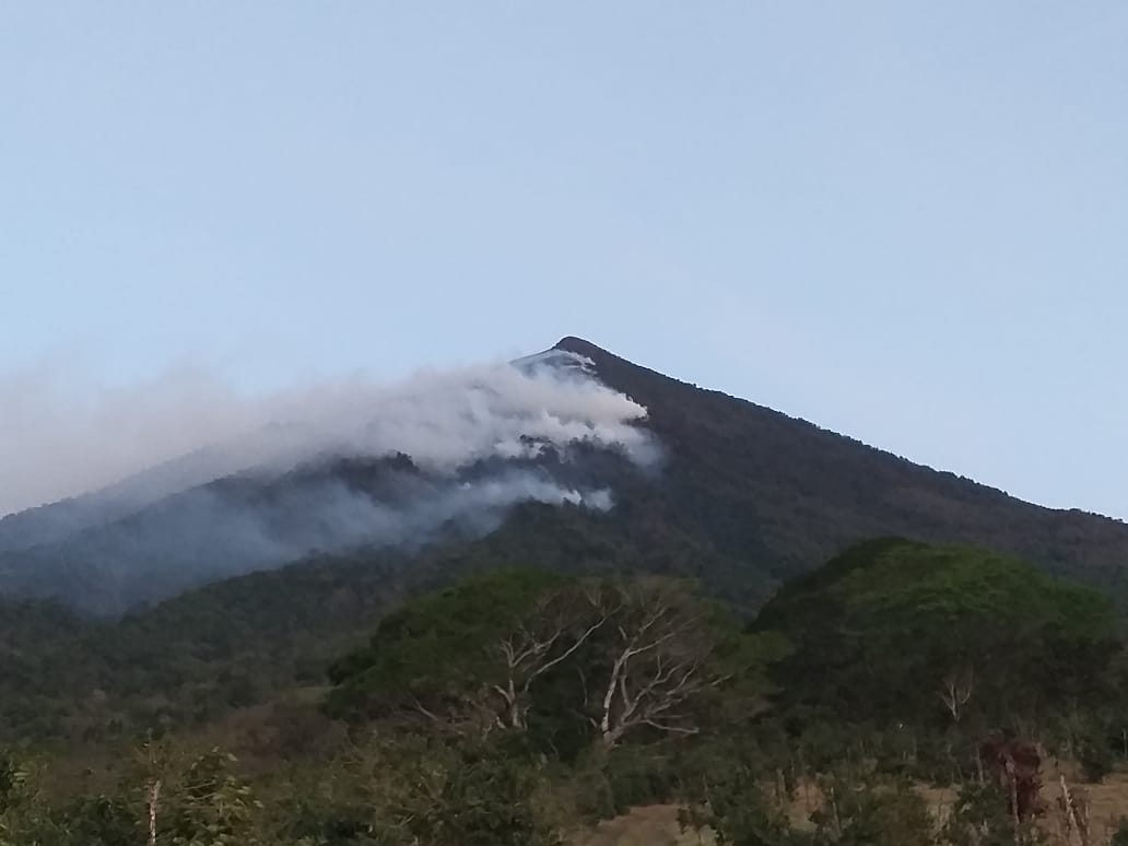 Lanzan campaña para prevenir incendios forestales
